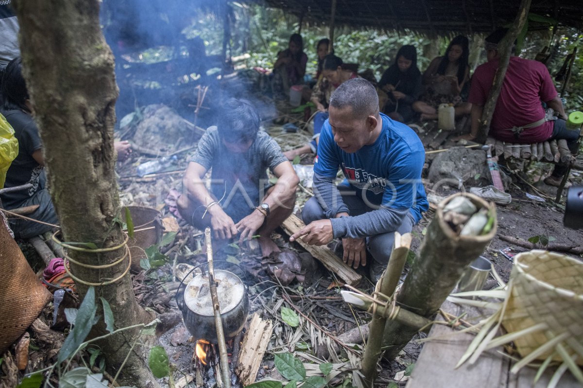 Rahasia Kecantikan Tersembunyi di Hutan Kalimantan: Facial Ala Pemijatan Angin Suku Punan Tua